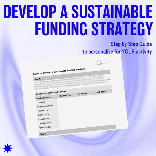 Guide to Develop a Sustainable Funding Strategy